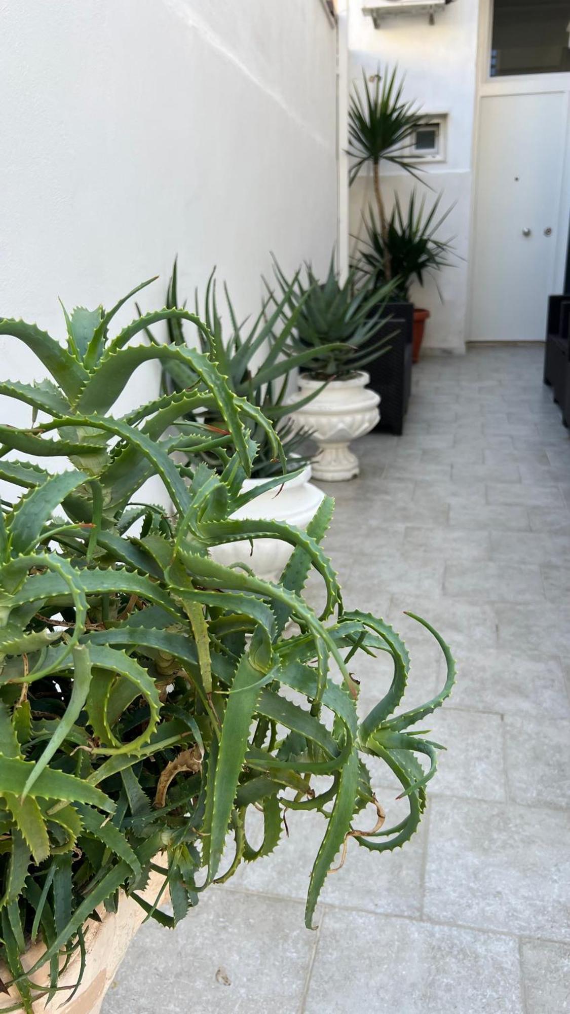 Ferienwohnung Casa Myda Bari Exterior foto