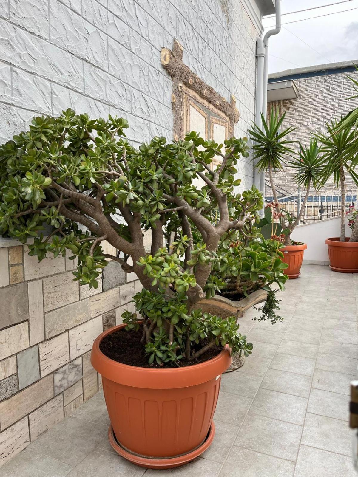 Ferienwohnung Casa Myda Bari Exterior foto
